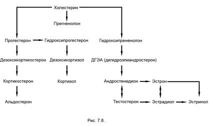 Измени мозг - изменится и тело - _30.jpg