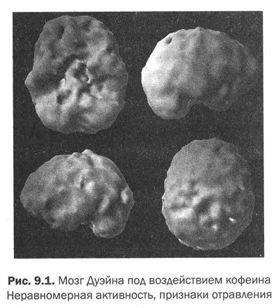 Измени мозг - изменится и тело - _35.jpg