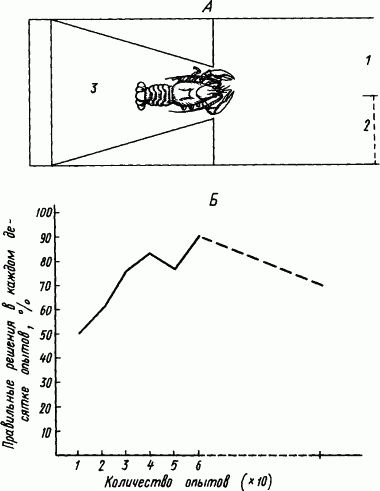 Основы физиологии высшей нервной деятельности - p_112_1.png
