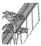 Кокинвакасю — Собрание старых и новых песен Японии - image004.jpg