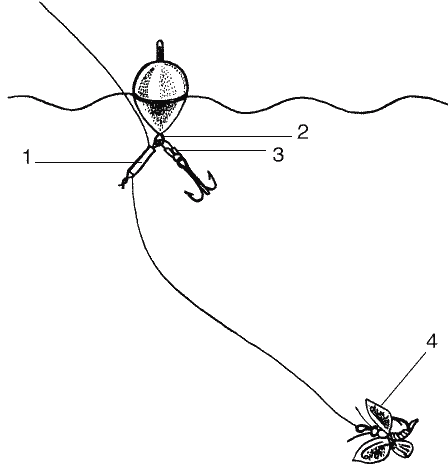 Большая книга рыболова–любителя (с цветной вкладкой) - i_006.png