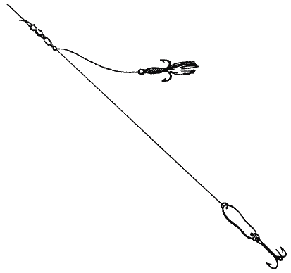 Большая книга рыболова–любителя (с цветной вкладкой) - i_010.png