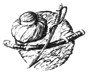 Наградная медаль. В 2-х томах. Том 1 (1701-1917) - bw_34.png
