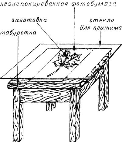 Фотограмма - i_001.png