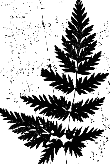 Фотограмма - i_004.png