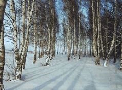 Ох, охота! - i_014.jpg
