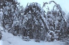 Ох, охота! - i_023.jpg