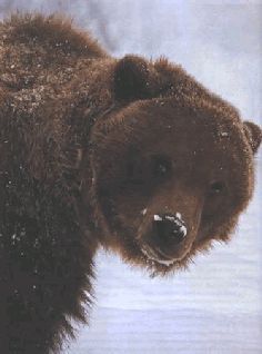 Ох, охота! - i_024.jpg