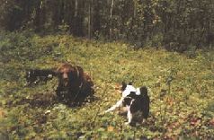 Ох, охота! - i_075.jpg