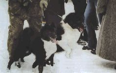 Ох, охота! - i_096.jpg