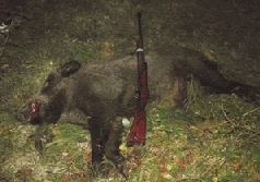 Ох, охота! - i_127.jpg