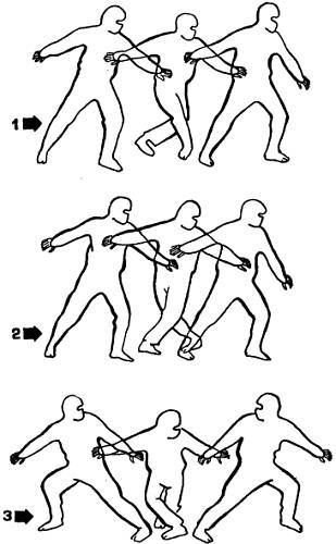 Воины-тени: Ниндзя и ниндзюцу - _17.jpg