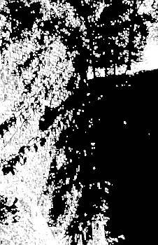Воины-тени: Ниндзя и ниндзюцу - _21.jpg