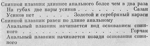 Рыбы Подмосковья - _17.jpg