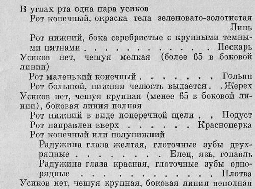 Рыбы Подмосковья - _18.jpg