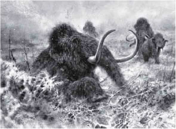 Мамонт - i_016.jpg