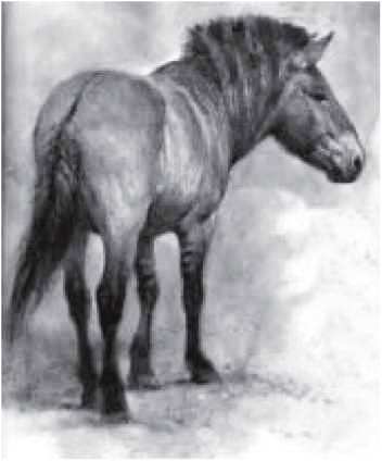 Мамонт - i_027.jpg