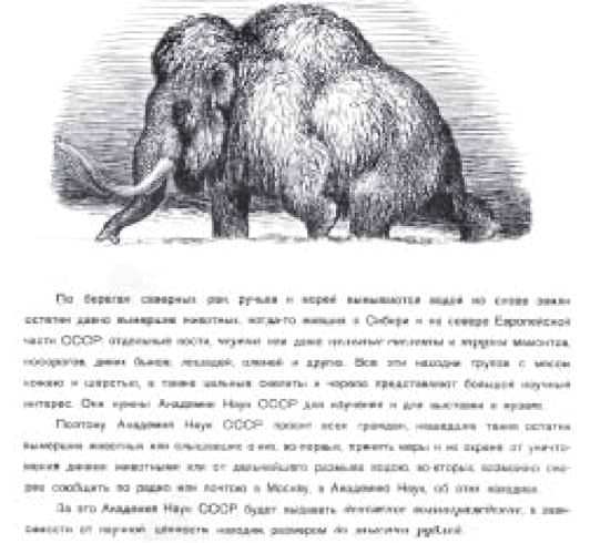 Мамонт - i_038.jpg