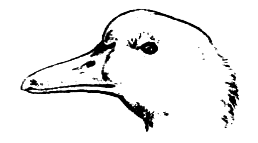 Птицы - i_008.png