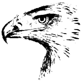 Птицы - i_022.png