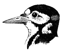 Птицы - i_031.png