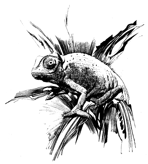 Зоопарки - i_004.png