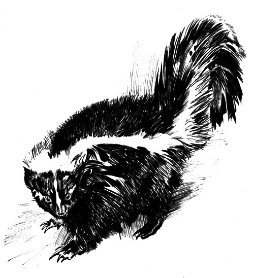 Зоопарки - i_005.png