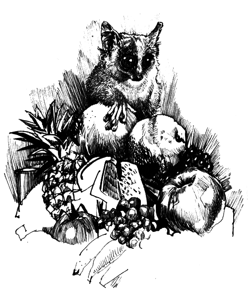 Зоопарки - i_012.png