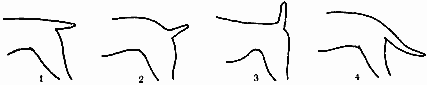 Атлас пород собак - i_017.png