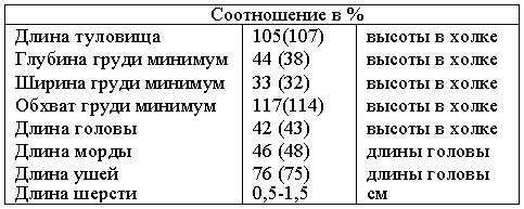 Атлас пород собак - i_062.png