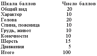 Атлас пород собак - i_127.png