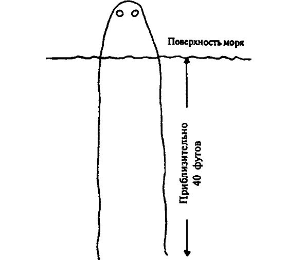 Существуют ли морские чудовища? - i_026.png