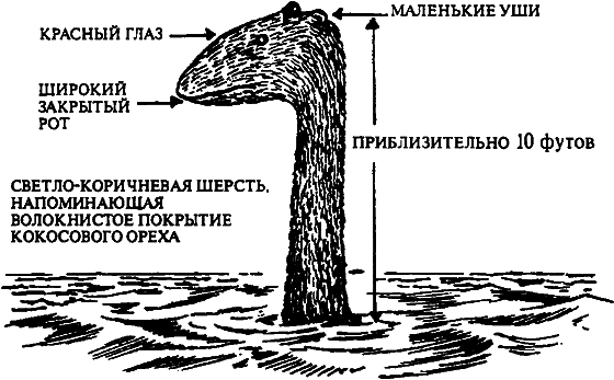 Существуют ли морские чудовища? - i_032.png