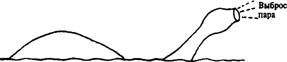 Существуют ли морские чудовища? - i_034.png