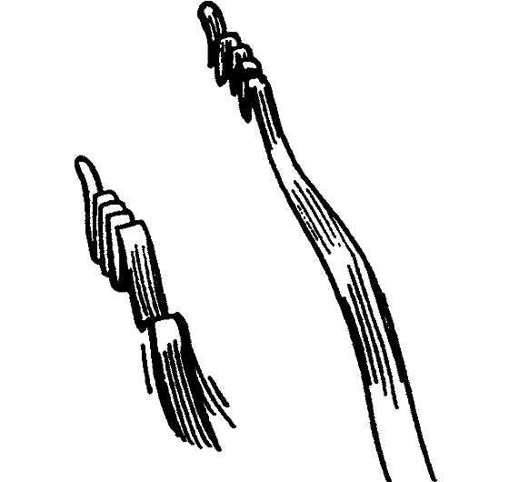 Существуют ли морские чудовища? - i_037.png