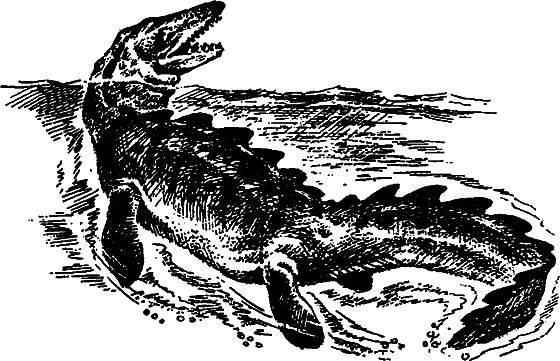 Существуют ли морские чудовища? - i_040.png