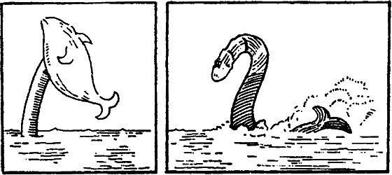 Существуют ли морские чудовища? - i_057.png