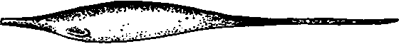 Существуют ли морские чудовища? - i_062.png