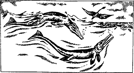 Существуют ли морские чудовища? - i_069.png