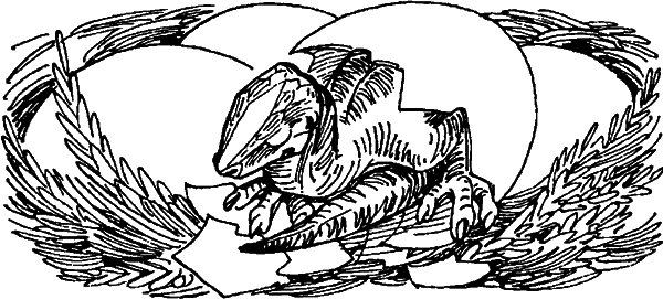 Краснокожая хищница - i_013.png