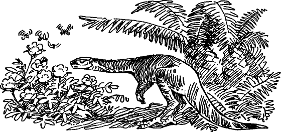 Краснокожая хищница - i_035.png