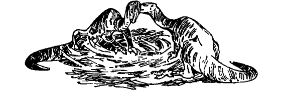 Краснокожая хищница - i_041.png