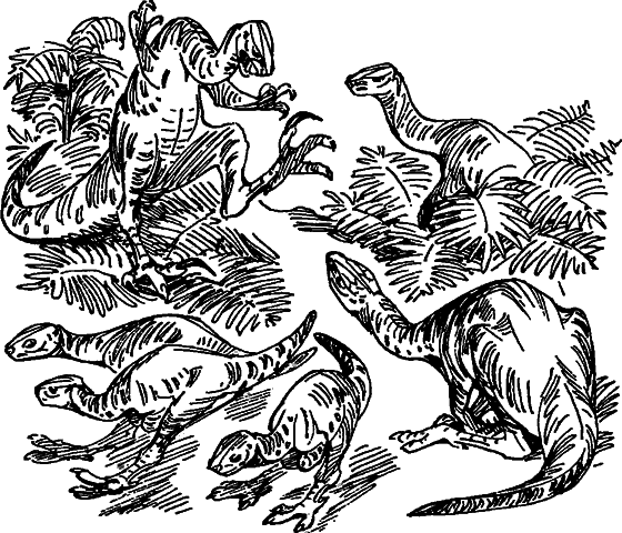 Краснокожая хищница - i_050.png