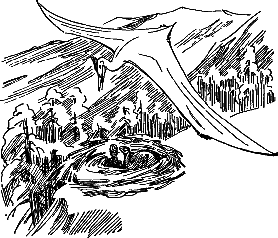 Краснокожая хищница - i_087.png