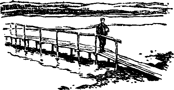Тайна сибирской платформы - p0156.png