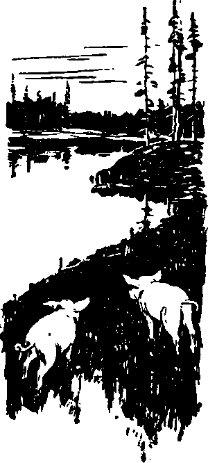 Тайна сибирской платформы - p0236.png