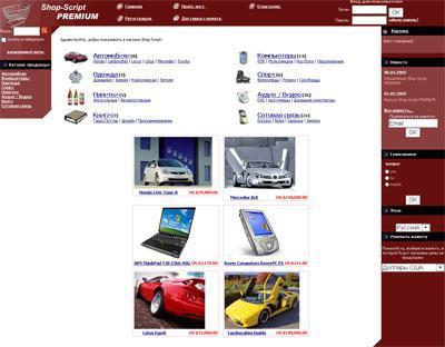 Как открыть интернет-магазин? или Начинаем бизнес в сети - i_003.jpg