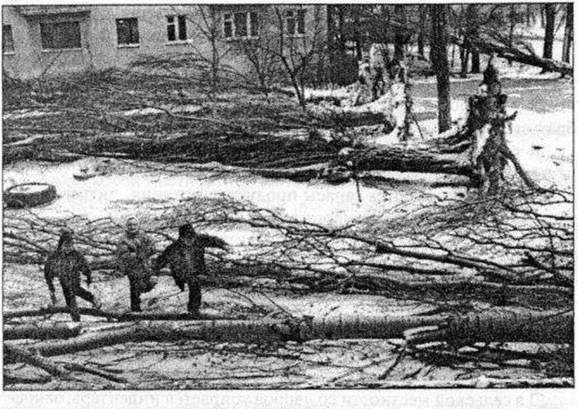 Основы безопасности жизнедеятельности. 7 класс - img18CE.jpg