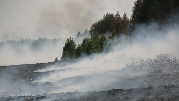 Основы безопасности жизнедеятельности. 7 класс - Fire_Torf.jpg