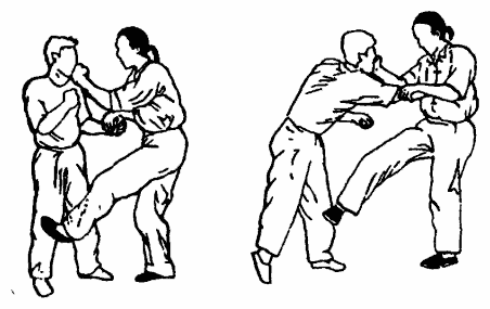 Да-цзе-шу — искусство пресечения боя - pic20.png
